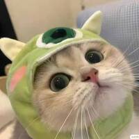 Bf801b2c73a2fdca77495eb3999d265454a0eb96