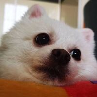 A4ea95dc1f08dee0c03884902ec5222ce5cf6f29