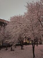 0373081d83283d311db81954a1752c66bfcca063