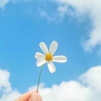 Da4d2fcdbcfead94fa90aca76229b5c5be7490d8