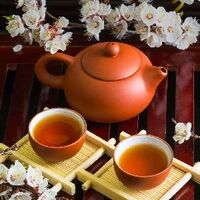 1447cc537835d7b097c6ceb77c4aff30b4fddeb1