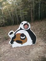 80b234008330354c6e4a007501549d4c09d9e548