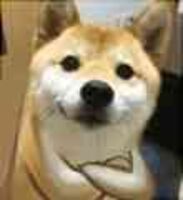 11cc92d18be5f888825980485b3db5cc38c38883