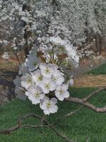 Cd4841606891d5075d35980f20d2d0493ea52ff1