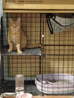 7e619997d3c26a9ffbf515c055b7697bc15ba92b