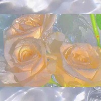 E1fc1eb4cd33e9033957832316f5731334a0eb66