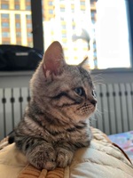 B0f971a96194a170e3e141e07b4005f9053a072f