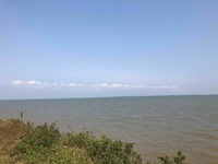 924de82ea528a81b13de2b84c2c2ca432c3680ba