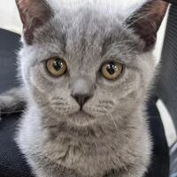 300848045711d96a25d660dd6a5108a33b5c038b