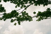 82da9c44e867098ce7dcc358cb5398dc0b3d6c04