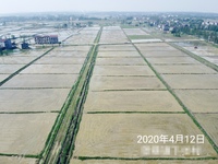 D896d5fdcf85e4b79d4aec90fe9afbab07c4bf3e