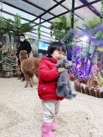 1274e2f9cffcc35069d1b467593e8dd05a85f89a