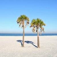 0f6506c5b73d334b51098585e08437199f6f9c08