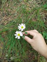 B262b6c007b73b25cf068ecdf51faeee44f76a84