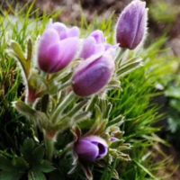 B8e0bad1d53577ca251d50c1fb0e5684c868833e