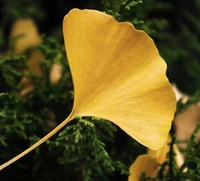 3839cbbb30910302df3f155aa8a10c6194c2af1c