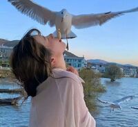 0b3f52b1ea9a806f1ca67116c222057b36b51cd6