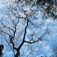 3133346d926abd689c72722980493df21d3e8b7c