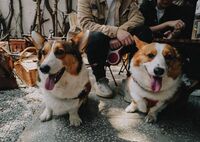 6147e747141e8196a1cd425459b1ea0ac71cad39