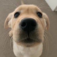 6d22a1fb4762b0e74cf9daa1ccde9f77c9f4b787