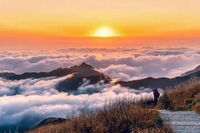 D1310c0eb407fa082222aa112f0c2c8e1044dd1b