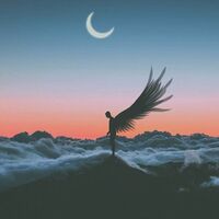 Dd73d901d55b36b364fde6888ea8325d891ff638