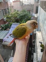 Aa7e56792dc447402aa5c74ada08f2717714a328