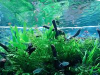 6c350632ee189d2077775eabe65bb907fefbbea5