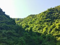 95c18861425da91f2b01582fdc766bf00c68cc6a