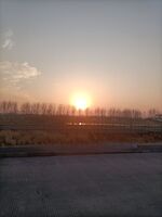 3883b0d0c3ddc48ca385979b524f0131982340f4