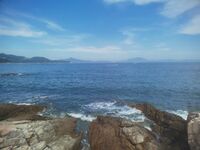 732380381f069e050da36b8dbcdd01c7bc4649be