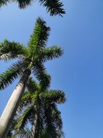 F2de8fd081849467c92590da2307d8f0e2127500