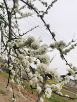 0d255098291715213cc253985931fc14c37b9f1b