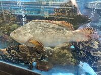 D1e1abe2fbfb92c2dd480919ae83293cf7a23f02