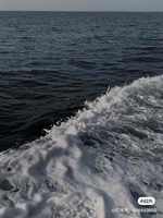 6833dfffed37223a4a1fb5350e791009e4f7fe6c