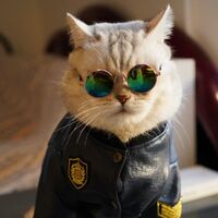 Ee704b1a4d7630fcbb22bc606097b7d9127f3f44