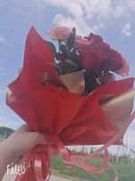 88c61817ea13bea5f2c91c2a42f7fe71055067f3