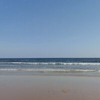 B87378a7c19d04e2176e44129e9ab864a95307e9