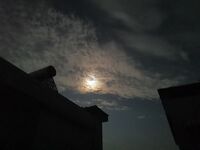 Ca4e3e1a19dfcfd24e90f6b9c2ba3f6e210f67e5