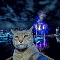 80e5ead74d76804c0cde1d5b129a673825d0c825