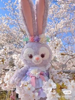 8b83a1dfdfa810a6d29eca2334871151c2583261