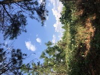 9fcb45c739b218f2697ca4ae780fc03e0c349e95