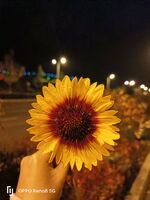 025467fd15a080083f1d68a5e9c09c26c9604620