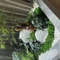 7babf0d3c9ab183abd9e91669d3d3f8f76c00a10