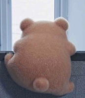 Bc4a3a4773f0e8a733886d6d41ab8d6b383e0f5d