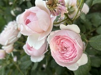 A9d70a47da1d97817d45a55e4be126acb02499d9