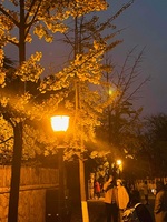 0b89a3e342e4864a51e97fe639aeca3dbd17d302