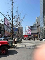 84545d539ad1bb26f1e3992f5113198dca13c42e