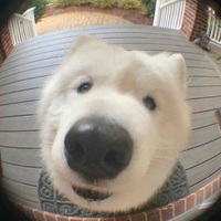 1df1bfa9a57fef50356f346dd19c4e17d2730f10