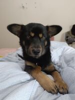 31e5288b77c77abd38476d20c69e7be9b5af9a7a